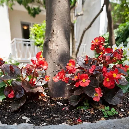 Апартаменты Lidija Подгора